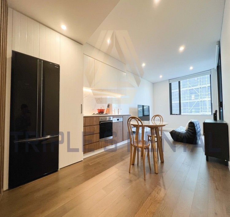 L3/61 Ashmore St, Erskineville NSW 2043