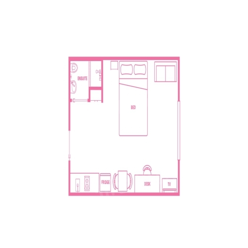Large Studio Apartment