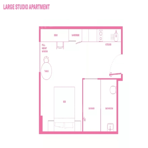 Large Studio Apartment