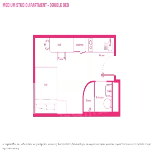   Medium Studio Apartment