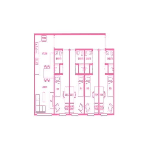 Shared Apartment