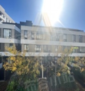 L2/5 Stovemaker Lane, Erskineville, NSW 2043